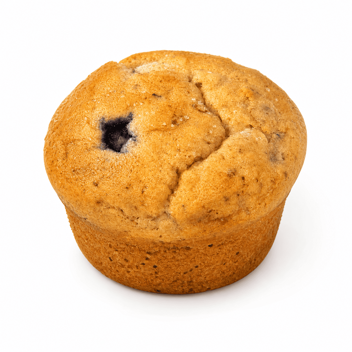 Blueberry Muffin